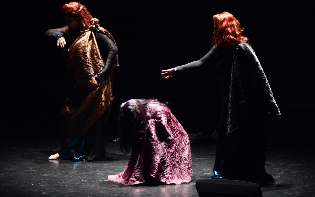 DSC_4223 - copia